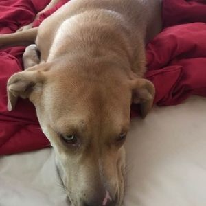 Meet your Posher, Nathan